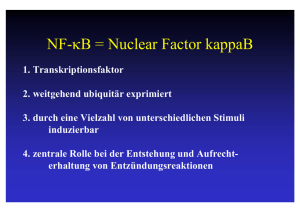 Der Transkriptionsfaktor NF