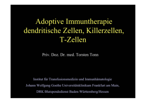 Adoptive Immuntherapie dendritische Zellen, Killerzellen, T