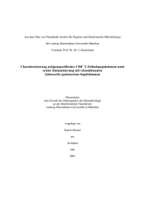 Charakterisierung antigenspezifischer CD8+ T