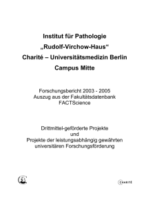 Forschungsbericht 2003