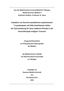 Induktion von Survivin-spezifischen zytotoxischen T