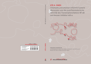 Chlamydia pneumoniae-infizierte humane Monozyten und die