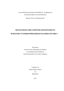 Mechanismus der Apoptose-Sensitivierung durch den