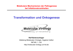 Transformation und Onkogenese