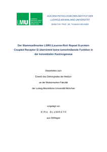 Der Stammzellmarker LGR5 (Leucine-Rich Repeat G