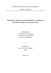 Identifikation molekularer Karzinogenesefaktoren und diagnosti