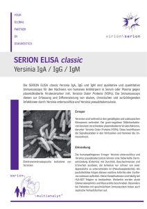SERION ELISA classic Yersinia IgA / IgG / IgM