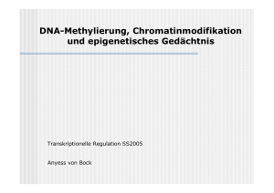 DNA-Methylierung und Chromatinmodifikation