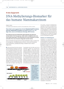 DNA-Methylierungs-Biomarker für das humane Mammakarzinom
