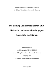 Die Bildung von extrazellulären DNA - TiHo Bibliothek elib