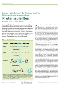 Proteinspleißen: Inteine - die "Introns" der Proteine und ihre