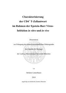 Charakterisierung der CD4+T-Zellantwort im Rahmen der Epstein