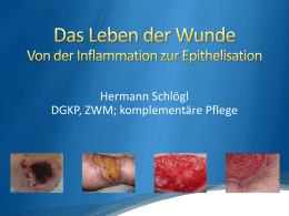 Die infektiöse Wunde (DGKS Marianne Hintner)