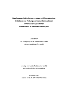 Kopplung von Retinolsäure an einen anti-Neuroblastom