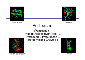 Proteasen