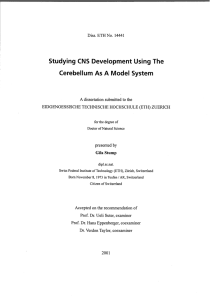 StudyingCNS DevelopmentUsingThe - ETH E-Collection