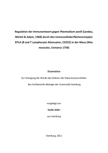 Regulation der Immunantwort gegen Plasmodium yoelii (Landau