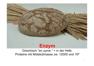 Enzym: Etymologie