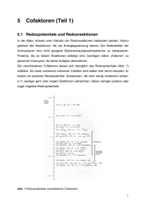 5 Cofaktoren (Teil 1)