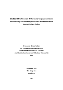 pdf-Dokument - Universität Bonn