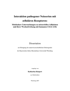 Interaktion pathogener Neisserien mit zellulären Rezeptoren: