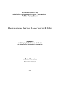 Charakterisierung Granzym B produzierender B