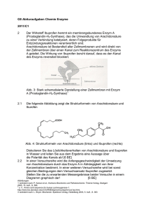 G8 Abituraufgaben Chemie Enzyme
