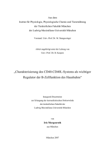 Charakterisierung des CD40-CD40L