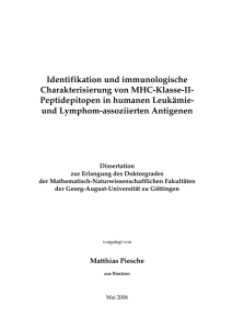 Identifikation und immunologische Charakterisierung von MHC