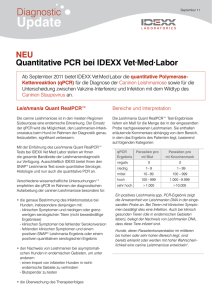 Quantitative PCR bei IDEXX Vet·Med·Labor