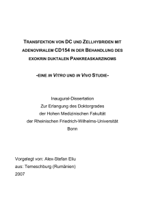 pdf-Dokument - Universität Bonn