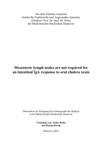 Mesenteric lymph nodes are not required for an intestinal IgA