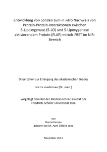 Entwicklung von Sonden zum in vitro Nachweis von Protein