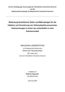 Bedeutung dendritischer Zellen und Makrophagen f&uuml;r die Infektion