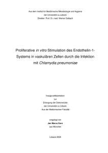 Proliferative in vitro Stimulation des Endothelin-1