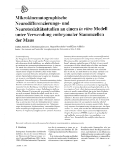 Neurotoxlzitatsstudien an einem in vitro Modell