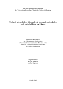 Nachweis intrazellulärer Salmonellen in phagozytierenden Zellen