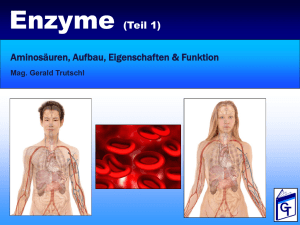 Enzyme (Teil 1) Aminosäuren, Aufbau, Eigenschaften & Funktion