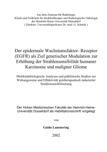 Der epidermale Wachstumsfaktor- Rezeptor (EGFR) als Ziel