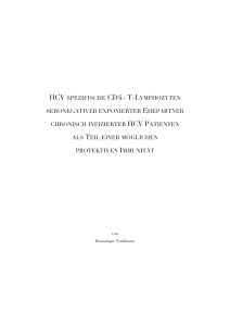 HCV spezifische CD4+ T-Lymphozyten seronegativer exponierter