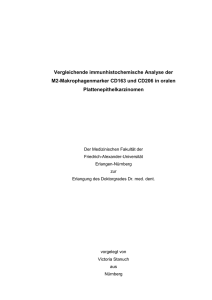 Dissertation von VictoriaStanuch