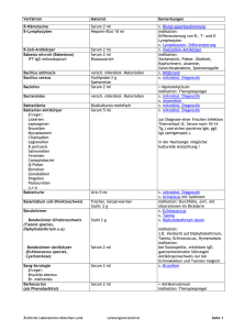 Verfahren Material Bemerkungen B