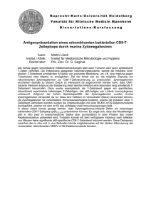 Antigenpräsentation eines rekombinanten bakteriellen CD8