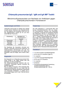 Chlamydia pneumoniae IgG / IgM und IgA MIF Testkit