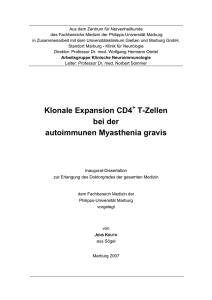 Klonale Expansion CD4 T-Zellen bei der autoimmunen Myasthenia