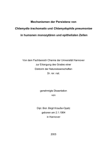 Mechanismen der Persistenz von Chlamydia trachomatis und