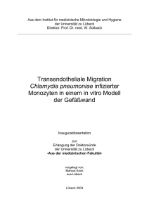 Transendotheliale Migration Chlamydia pneumoniae infizierter