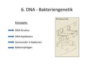 6. DNA - Bakteriengenetik