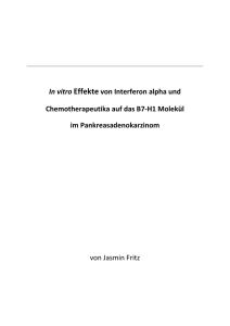 In vitro Effekte von Interferon alpha und Chemotherapeutika auf das