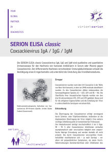 SERION ELISA classic Coxsackievirus IgA / IgG / IgM